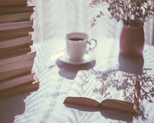 Open book on a table near a sunny window with soft shadows